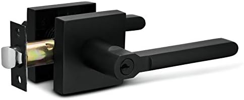 Modern Door Access Set Iron-Black Finish