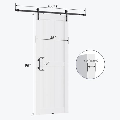 Modern White Barn Door