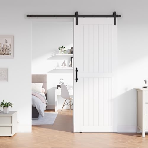Modern White Barn Door
