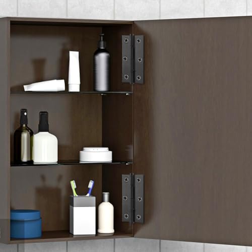 4-Pack Black Door Hinges Stainless Steel Folding Door Hinges Black Matte