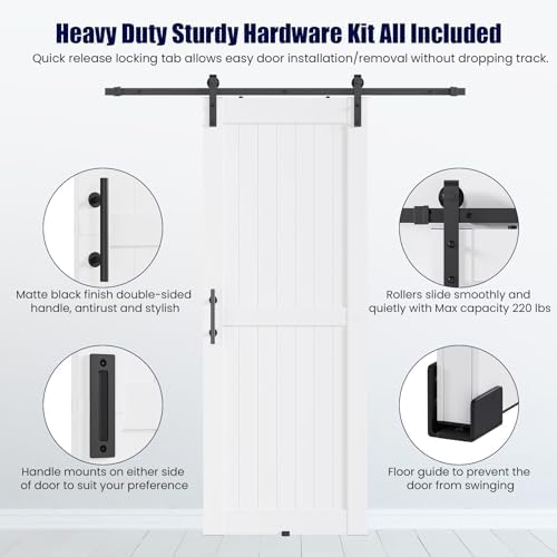 Modern White Barn Door