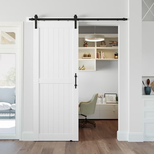 Modern White Barn Door