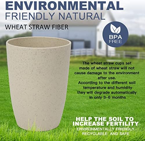 6-Pack Wheat Straw Cups