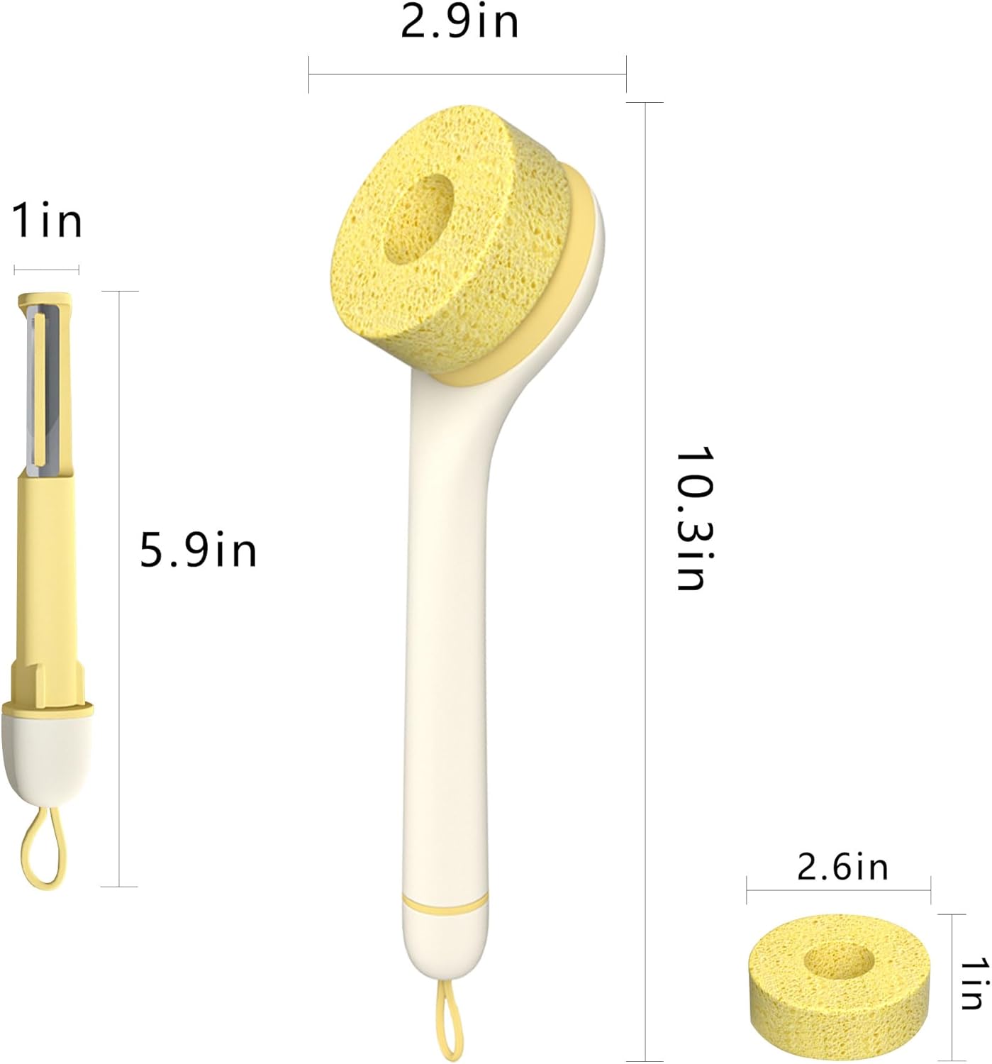 Long Handle Vegetable and Fruit Scrubber Brush Eco-Friendly Hydrophobic and Easy to Clean